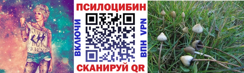 Псилоцибиновые грибы MAGIC MUSHROOMS  Надым 