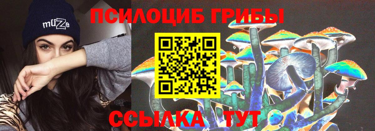 Псилоцибиновые грибы GOLDEN TEACHER Надым